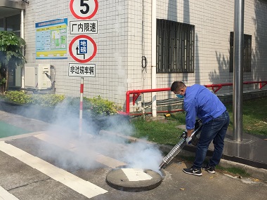 海珠除蟲(chóng)滅鼠——下水道如何滅除四害和蚊蟲(chóng)